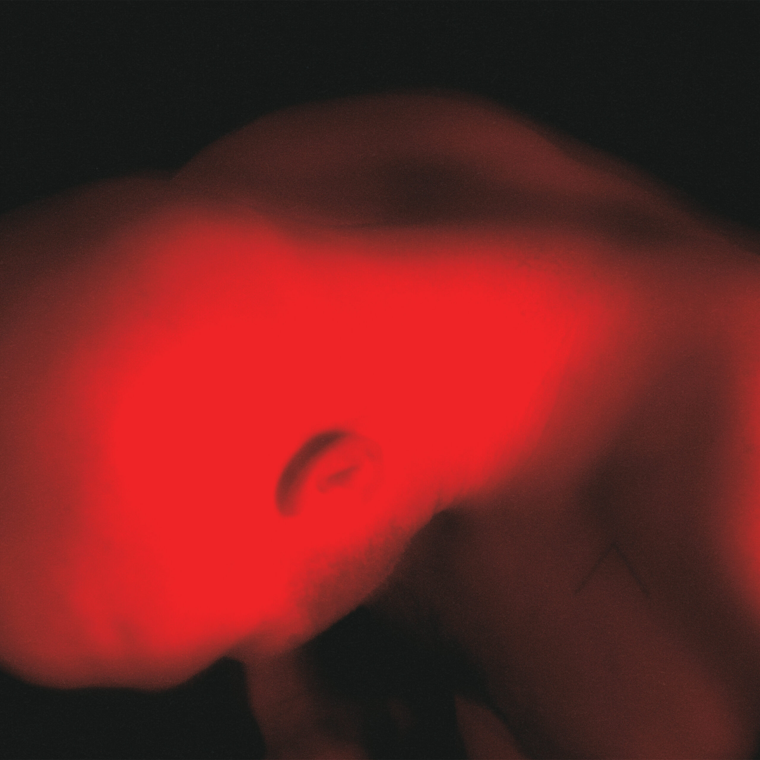 mast_img